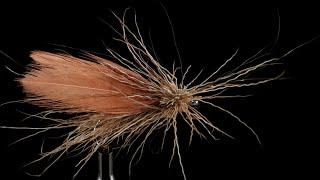 Caddis/ Sedge ( Mosca in Pelo - -Dry Fly )