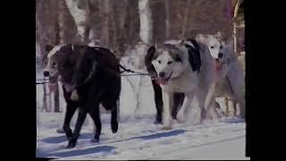 БЕРИНГИЯ - 94. АВАЧИНСКАЯ ГОНКА - 300. КАМЧАТКА. BERINGIA - 94, AVACHA RACE - 300, KAMCHATKA.