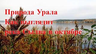 Природа Урала / Как выглядит река Сылва в октябре / Путешествие по Пермскому краю д  Мостовая