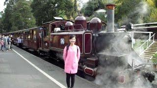 Ava & Terry visit Puffing Billy