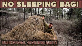 WINTER SURVIVAL OVERNIGHT! [] Debris Hut w/Framework : No Sleeping Bag