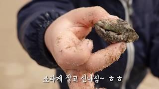 바닷가 바로 앞 태안 카라반