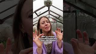 Découvrez l'histoire des bombes à graines avec Ophélie Ta Mère Nature !