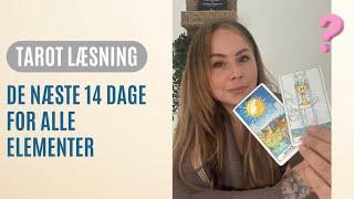 Tarot: IldJordLuft️Vand “Nu & De næste 14 dage” Timestamps