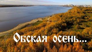 Обская осень...