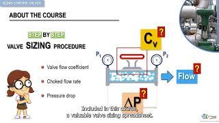 How to sizing valves and control valves ? Course introduction by WR Training