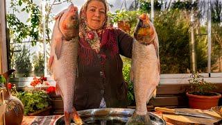 Big Fish Fried on a Stone. Grilled Fish and Samovar Tea