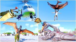 All Flying Reptiles Animations, Quetzalcoatlus, Pteranodon, Dimorphodon  Jurassic World Evolution 2