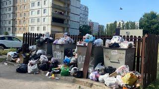 "Еврологистик" не вывозит: к вывозу мусора в Белгороде привлекли бывшего подрядчика