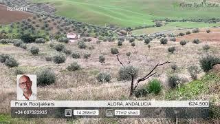 Alora Real Estate