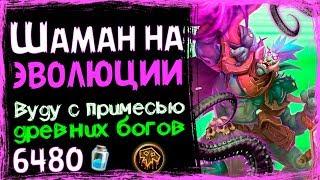 Шаман НА ЭВОЛЮЦИИ - Самая НЕПРЕДСКАЗУЕМАЯ Фан Колода в РИ - 2019/Hearthstone