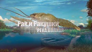 Русская Рыбалка 4 ► Russian Fishing 4 ► Река Волхов - Рак и Ракушки