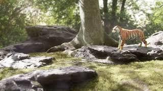 Tiger Animation #maya #blender #blender3d #3d #3drenders