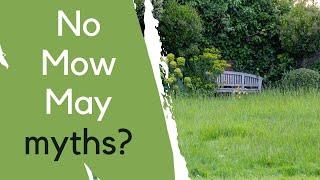 No Mow May - the pros and cons...based on real life experience + research!