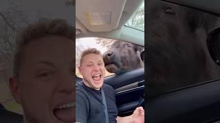 I Tried To Warn Them..️ #extremeweather #stormchasing #tornadooutbreak