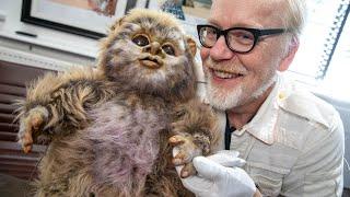 Adam Savage Meets an Original Star Wars Ewok Puppet!