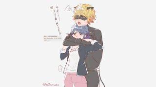 Stay in the Trash, Kitty (MariChat Shenanagins, post-Hawkmoth) A Miraculous Ladybug Fanfiction