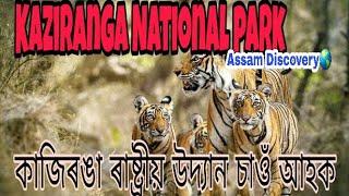 Kaziranga National park(কাজিৰঙা ৰাষ্ট্রীয় উদ্যান),Animal/Assam Discovery/Dipankar Rabha