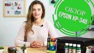 Обзор МФУ для дома Epson XP-340 с Дариной