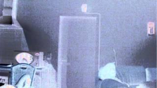 Project X kelzor Horror