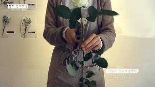 혼자서도 잘하는 꽃꽂이 - 장미 다듬기 1 - 가위 편 - How to make Flowers - Rose conditioning l LuLu FloRoom Tutorial