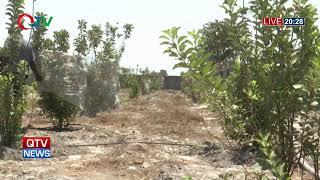 QTV NEWS 14.04.25