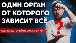 Проверь себя! Один орган, из-за которого страдает твоё здоровье.