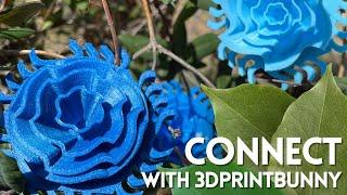 Connecting with 3DPrintBunny