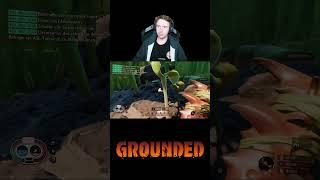 Grounded - Verwechslungsgefahr - #grounded #groundedgame #koop #groundedthegame #groundedforlife