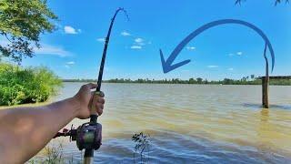 PICÓ EL GRANDE!! No lo podíamos sacar. PESCA DE MUELLE. Río Bravo