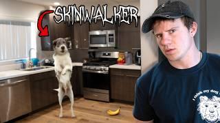 Your Dog Might be a Skinwalker...