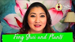 Feng Shui and Plants!