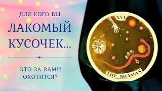 КТО СЛЕДИТ И ОХОТИТСЯ ЗА ВАМИ?   Тайный поклонник или враг? Таро