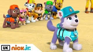 Paw Patrol | Pups Save a Frozen Flounder | Nick Jr. UK