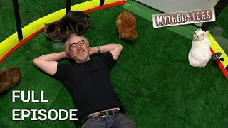 Is It Possible To Heard Cats? | MythBusters | Season 9 Episode 21 | Full Episode