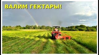 Сезон сенокоса открыт! Трактор Шифенг 244 с польской косилкой!