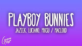 Jazeek, Luciano, Miksu / Macloud - PLAYBOYBUNNIES