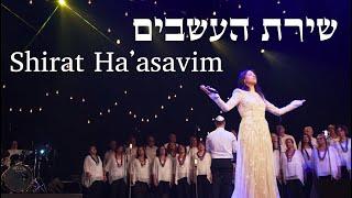 שירת העשבים - הילה בן דוד | SHIRAT HA'ASAVIM - Hila Ben David (HALO) | Live Concert 2024