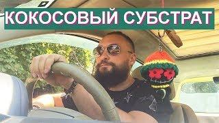 Обо всем за рулем #12 / Кокосовый грунт для растений / Mr.GrowChannel