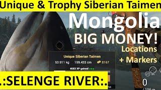 Mongolia Fishing Planet Selenge River Unique & Trophy Siberian Taimen  + Markers - Great XP & Money