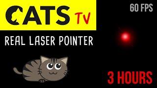 CATS TV - Real Laser Chaser 60FPS  - 3 HOURS (Video Game for Cats Only)