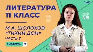 Гражданская война на страницах романа М.А. Шолохова «Тихий Дон». Видеоурок 31. Литература