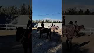 Horse riding video with music 