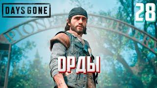 DAYS GONE ►ЖИЗНЬ ПОСЛЕ # 28 - так намного проще ! (прохождение)