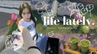 Spring Vlog  dying my hair, picnic, hanging out with friends, studying