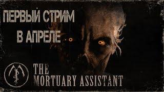 ПЕРВЫЙ СТРИМ AEGONSHOW В АПРЕЛЕ / THE MORTUARY ASSISTANT / Ночь ужаса