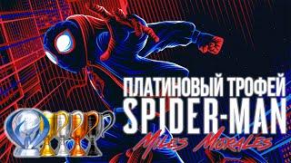 Платина в [Spider Man: Miles Morales]