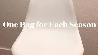 One Luxury Bag For Each Season | Tag by Liz Herrling