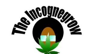 Incognegrow new logo and new seeds