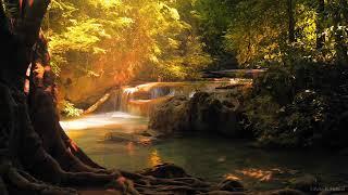 Attractive Naturally environments for relaxation with good sounds music